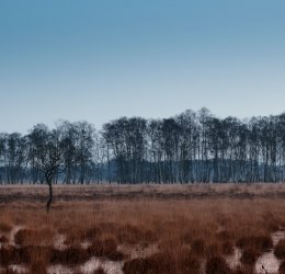 Туры в Гамбург 2025 - цены на путевки в Германию из Москвы от туроператора Анекс Туры в Гамбург 2025 - цены на путевки в Германию из Москвы от туроператора Анекс