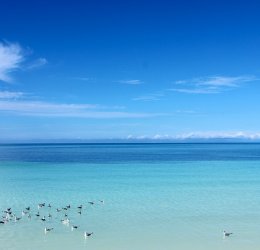 Туры в Варадеро 2025 - цены на путевки на Кубу из Москвы от туроператора Анекс Туры в Варадеро 2025 - цены на путевки на Кубу из Москвы от туроператора Анекс