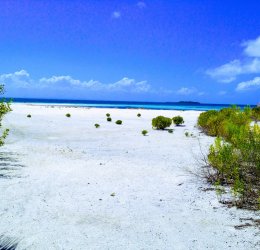 Туры в Варадеро 2025 - цены на путевки на Кубу из Москвы от туроператора Анекс Туры в Варадеро 2025 - цены на путевки на Кубу из Москвы от туроператора Анекс