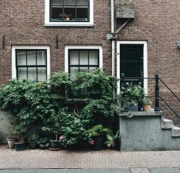 Туры в Нидерланды 2025 из Москвы - цена на отдых от туроператора Анекс Туры в Нидерланды 2025 из Москвы - цена на отдых от туроператора Анекс