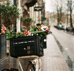 Туры в Нидерланды 2025 из Москвы - цена на отдых от туроператора Анекс Туры в Нидерланды 2025 из Москвы - цена на отдых от туроператора Анекс