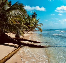 Туры во Фрипорт 2025 - цены на путевки на Багамы из Москвы от туроператора Анекс Туры во Фрипорт 2025 - цены на путевки на Багамы из Москвы от туроператора Анекс