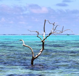 Туры на Таити 2025 - цены на путевки во Французскую полинезию из Москвы от туроператора Анекс Туры на Таити 2025 - цены на путевки во Французскую полинезию из Москвы от туроператора Анекс