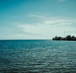 Туры на Таити 2025 - цены на путевки во Французскую полинезию из Москвы от туроператора Анекс Туры на Таити 2025 - цены на путевки во Французскую полинезию из Москвы от туроператора Анекс