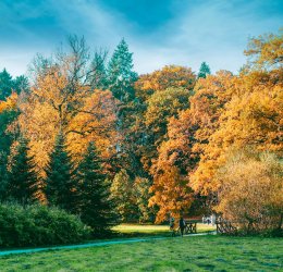 Туры в Чехию 2025 из Москвы - цена на отдых от туроператора Анекс Туры в Чехию 2025 из Москвы - цена на отдых от туроператора Анекс