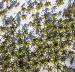 Туры в Венесуэлу 2025 из Москвы - цена на отдых от туроператора Анекс Туры в Венесуэлу 2025 из Москвы - цена на отдых от туроператора Анекс