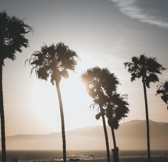 Туры на о. Кайо Санта Мария 2025 - цены на путевки на Кубу из Москвы от туроператора Анекс Туры на о. Кайо Санта Мария 2025 - цены на путевки на Кубу из Москвы от туроператора Анекс