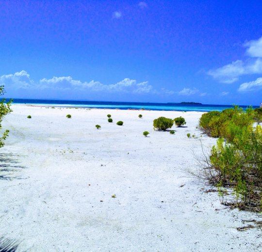 Туры в Варадеро 2025 - цены на путевки на Кубу из Москвы от туроператора Анекс Туры в Варадеро 2025 - цены на путевки на Кубу из Москвы от туроператора Анекс