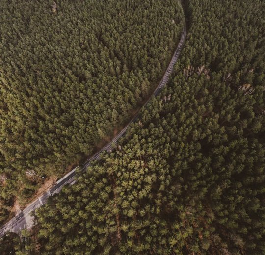 Туры в Вильнюс 2025 - цены на путевки в Литву из Москвы от туроператора Анекс Туры в Вильнюс 2025 - цены на путевки в Литву из Москвы от туроператора Анекс