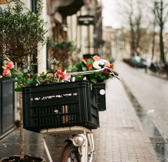 Туры в Нидерланды 2025 из Москвы - цена на отдых от туроператора Анекс Туры в Нидерланды 2025 из Москвы - цена на отдых от туроператора Анекс