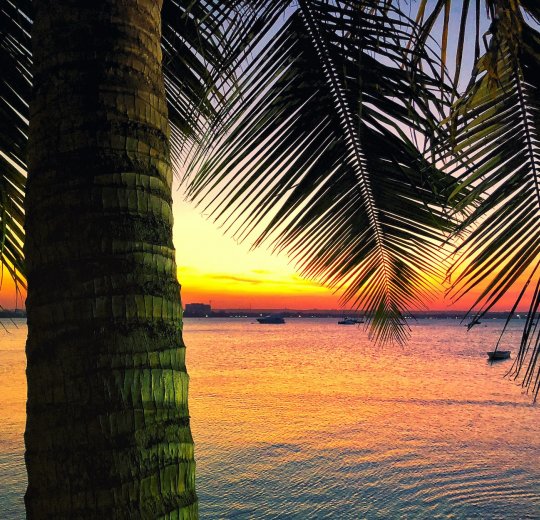 Туры в Танзанию 2025 из Москвы - цена на отдых от туроператора Анекс Туры в Танзанию 2025 из Москвы - цена на отдых от туроператора Анекс