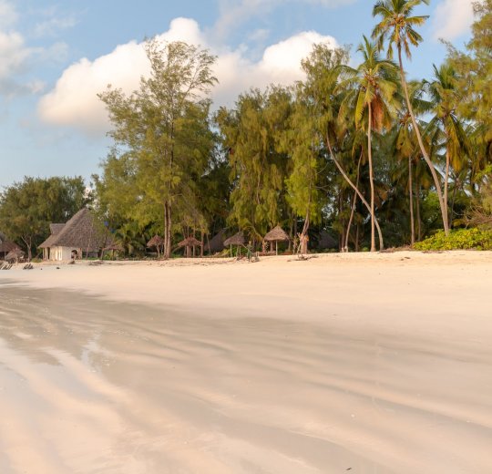 Туры 2025 - цены на путевки в Танзанию из Москвы от туроператора Анекс Туры 2025 - цены на путевки в Танзанию из Москвы от туроператора Анекс