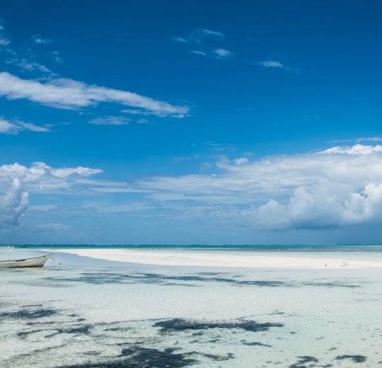 Туры 2025 - цены на путевки в Танзанию из Москвы от туроператора Анекс Туры 2025 - цены на путевки в Танзанию из Москвы от туроператора Анекс