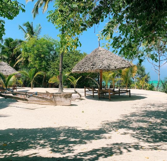 Туры 2025 - цены на путевки в Танзанию из Москвы от туроператора Анекс Туры 2025 - цены на путевки в Танзанию из Москвы от туроператора Анекс