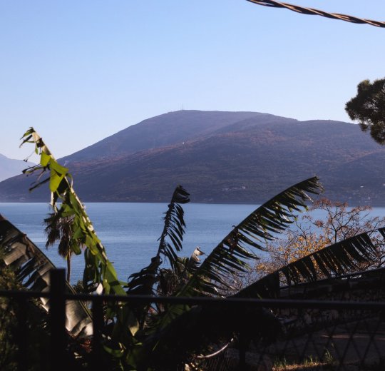 Туры в Герцег Нови 2025 - цены на путевки в Черногорию из Москвы от туроператора Анекс Туры в Герцег Нови 2025 - цены на путевки в Черногорию из Москвы от туроператора Анекс