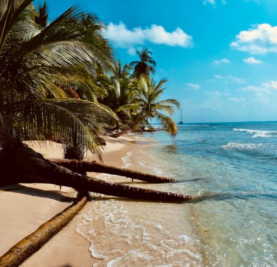 Туры во Фрипорт 2025 - цены на путевки на Багамы из Москвы от туроператора Анекс Туры во Фрипорт 2025 - цены на путевки на Багамы из Москвы от туроператора Анекс