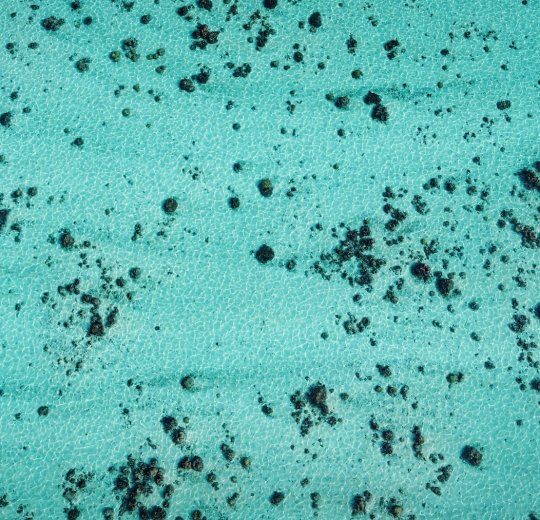 Туры на Таити 2025 - цены на путевки во Французскую полинезию из Москвы от туроператора Анекс Туры на Таити 2025 - цены на путевки во Французскую полинезию из Москвы от туроператора Анекс