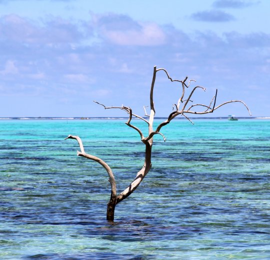 Туры на Таити 2025 - цены на путевки во Французскую полинезию из Москвы от туроператора Анекс Туры на Таити 2025 - цены на путевки во Французскую полинезию из Москвы от туроператора Анекс