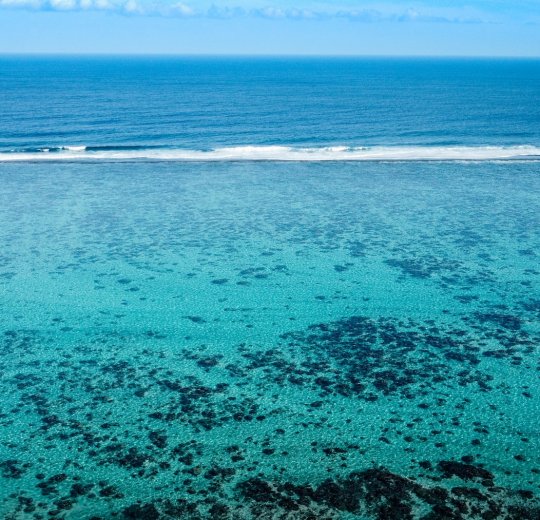 Туры на Таити 2025 - цены на путевки во Французскую полинезию из Москвы от туроператора Анекс Туры на Таити 2025 - цены на путевки во Французскую полинезию из Москвы от туроператора Анекс