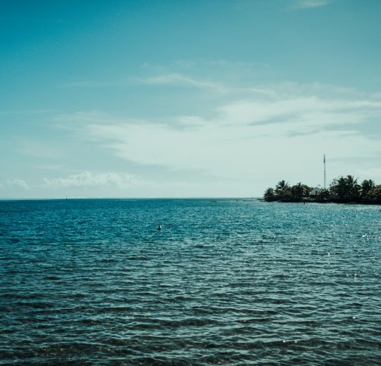 Туры на Таити 2025 - цены на путевки во Французскую полинезию из Москвы от туроператора Анекс Туры на Таити 2025 - цены на путевки во Французскую полинезию из Москвы от туроператора Анекс