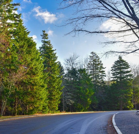 Туры в Бар 2025 - цены на путевки в Черногорию из Москвы от туроператора Анекс Туры в Бар 2025 - цены на путевки в Черногорию из Москвы от туроператора Анекс