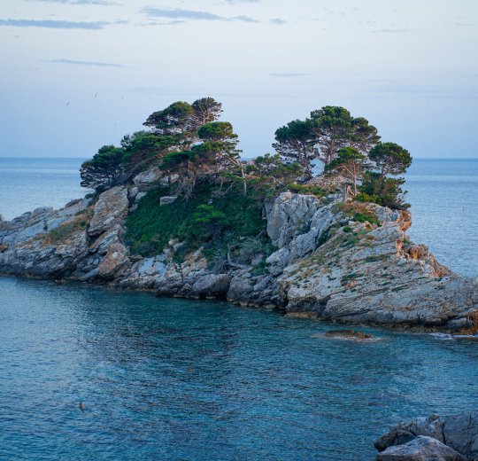 Туры в Петровац 2025 - цены на путевки в Черногорию из Москвы от туроператора Анекс Туры в Петровац 2025 - цены на путевки в Черногорию из Москвы от туроператора Анекс