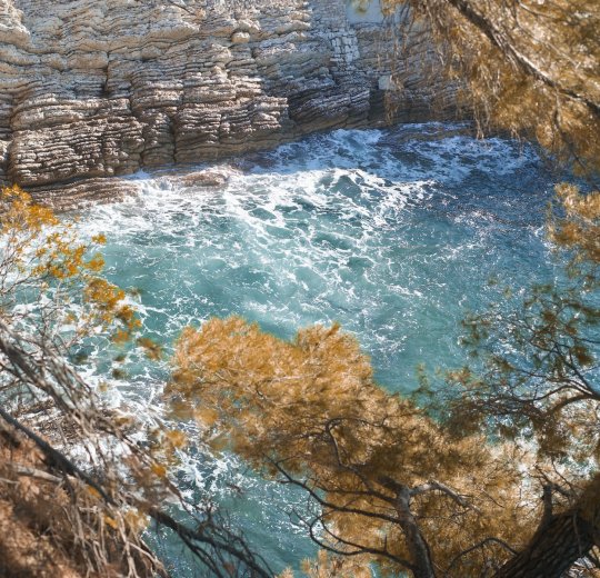 Туры в Петровац 2025 - цены на путевки в Черногорию из Москвы от туроператора Анекс Туры в Петровац 2025 - цены на путевки в Черногорию из Москвы от туроператора Анекс