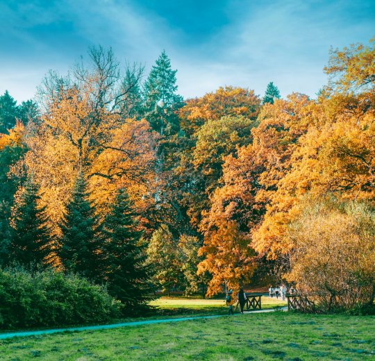 Туры в Чехию 2025 из Москвы - цена на отдых от туроператора Анекс Туры в Чехию 2025 из Москвы - цена на отдых от туроператора Анекс