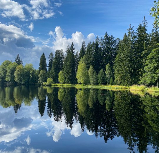 Туры в Карловы Вары 2025 - цены на путевки в Чехию из Москвы от туроператора Анекс Туры в Карловы Вары 2025 - цены на путевки в Чехию из Москвы от туроператора Анекс