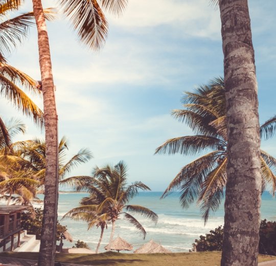 Туры в Венесуэлу 2025 из Москвы - цена на отдых от туроператора Анекс Туры в Венесуэлу 2025 из Москвы - цена на отдых от туроператора Анекс