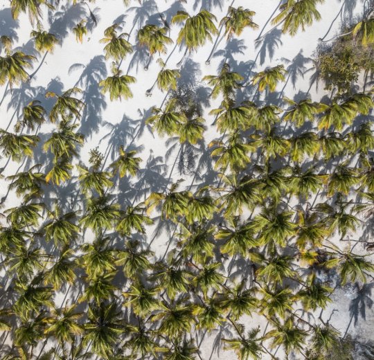 Туры в Венесуэлу 2025 из Москвы - цена на отдых от туроператора Анекс Туры в Венесуэлу 2025 из Москвы - цена на отдых от туроператора Анекс