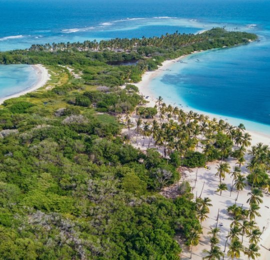 Туры в Венесуэлу 2025 из Москвы - цена на отдых от туроператора Анекс Туры в Венесуэлу 2025 из Москвы - цена на отдых от туроператора Анекс