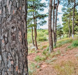 Туры в Азербайджан 2025 из Москвы - цена на отдых от туроператора Анекс Туры в Азербайджан 2025 из Москвы - цена на отдых от туроператора Анекс