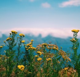 Туры в Армению 2025 из Москвы - цена на отдых от туроператора Анекс Туры в Армению 2025 из Москвы - цена на отдых от туроператора Анекс