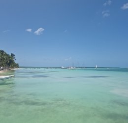 Туры в Доминикану 2025 из Москвы - цена на отдых от туроператора Анекс Туры в Доминикану 2025 из Москвы - цена на отдых от туроператора Анекс