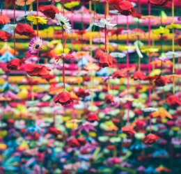 Туры в Индию 2025 из Москвы - цена на отдых от туроператора Анекс Туры в Индию 2025 из Москвы - цена на отдых от туроператора Анекс