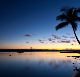 Туры на Маврикий 2025 из Москвы - цена на отдых от туроператора Анекс Туры на Маврикий 2025 из Москвы - цена на отдых от туроператора Анекс