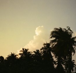 Туры на Мальдивы 2025 из Москвы - цена на отдых от туроператора Анекс Туры на Мальдивы 2025 из Москвы - цена на отдых от туроператора Анекс