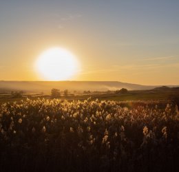 Туры в Россию 2025 из Москвы - цена на отдых от туроператора Анекс Туры в Россию 2025 из Москвы - цена на отдых от туроператора Анекс