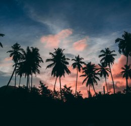 Туры на Сейшелы 2025 из Москвы - цена на отдых от туроператора Анекс Туры на Сейшелы 2025 из Москвы - цена на отдых от туроператора Анекс