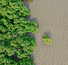 Туры на о. Чанг 2025 - цены на путевки в Таиланд из Москвы от туроператора Анекс Туры на о. Чанг 2025 - цены на путевки в Таиланд из Москвы от туроператора Анекс