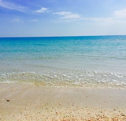 Туры в Тунис 2025 из Москвы - цена на отдых от туроператора Анекс Туры в Тунис 2025 из Москвы - цена на отдых от туроператора Анекс