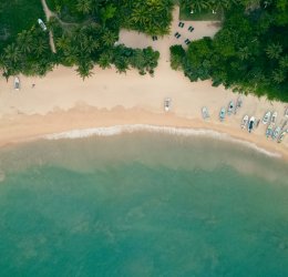 Туры в Шри-Ланку 2025 из Москвы - цена на отдых от туроператора Анекс Туры в Шри-Ланку 2025 из Москвы - цена на отдых от туроператора Анекс