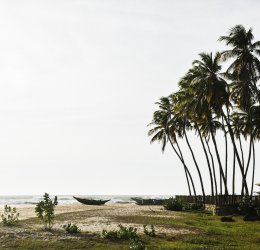 Туры в Шри-Ланку 2025 из Москвы - цена на отдых от туроператора Анекс Туры в Шри-Ланку 2025 из Москвы - цена на отдых от туроператора Анекс