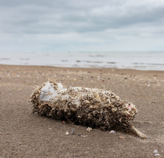 Туры в Азербайджан 2025 из Москвы - цена на отдых от туроператора Анекс Туры в Азербайджан 2025 из Москвы - цена на отдых от туроператора Анекс