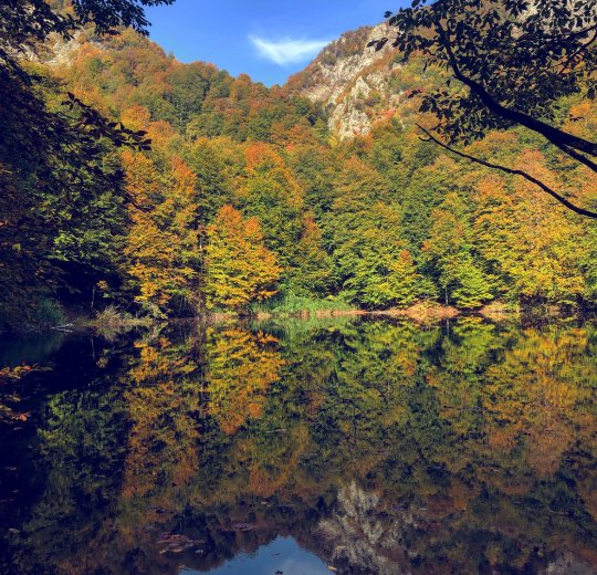 Туры в Азербайджан 2025 из Москвы - цена на отдых от туроператора Анекс Туры в Азербайджан 2025 из Москвы - цена на отдых от туроператора Анекс