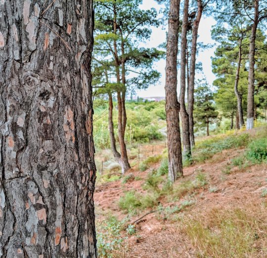 Туры в Азербайджан 2025 из Москвы - цена на отдых от туроператора Анекс Туры в Азербайджан 2025 из Москвы - цена на отдых от туроператора Анекс