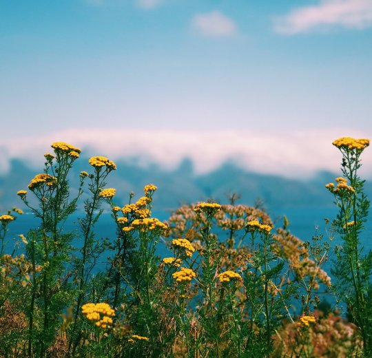 Туры в Армению 2025 из Москвы - цена на отдых от туроператора Анекс Туры в Армению 2025 из Москвы - цена на отдых от туроператора Анекс