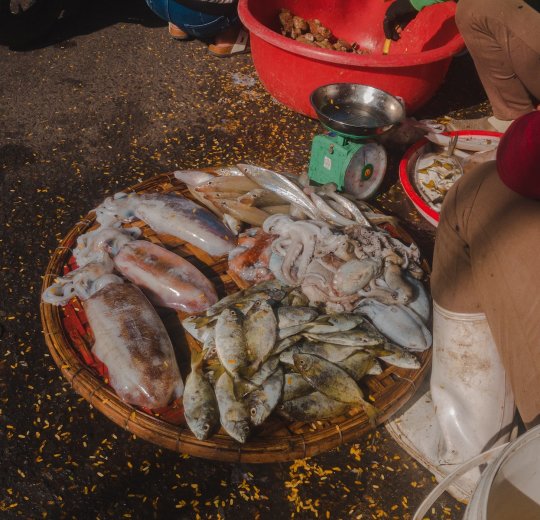 Туры во Вьетнам 2025 из Москвы - цена на отдых от туроператора Анекс Туры во Вьетнам 2025 из Москвы - цена на отдых от туроператора Анекс