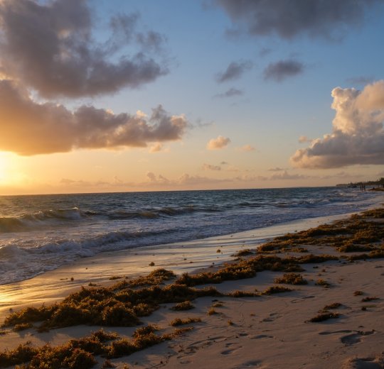 Туры в Доминикану 2025 из Москвы - цена на отдых от туроператора Анекс Туры в Доминикану 2025 из Москвы - цена на отдых от туроператора Анекс